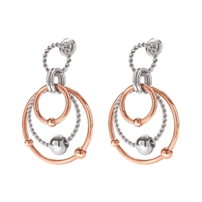 Style Bonding Silver Plated Earrings-